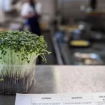 斯涛特尔梅兹特克诺波勒餐厅酒店 4*