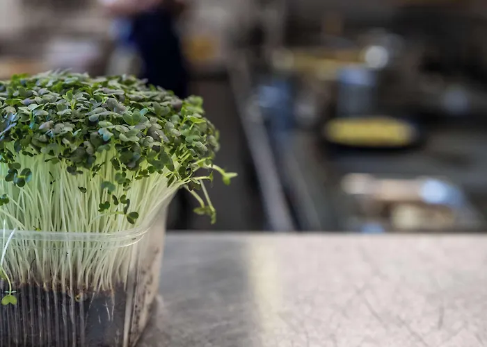 Western Technopole 4*